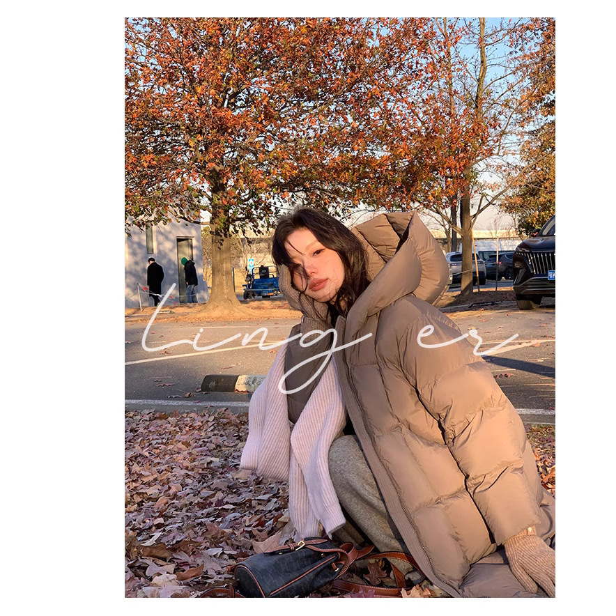 그레이 브라운