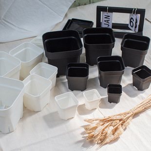 Factory wholesale flower pot plastic square pot simple thickened square gardening succulent small square black white succulent flower pot
