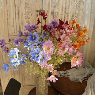 ��ֲ֦�qСҰ�����滨СҰ���b��仨��˹�ղ������[��С���»���