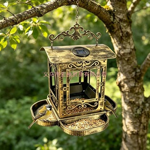 �羳2026���¿���ُ͹�̫���ι�Bͤbirdfeeder���⻨�@�Ғ�ʽ