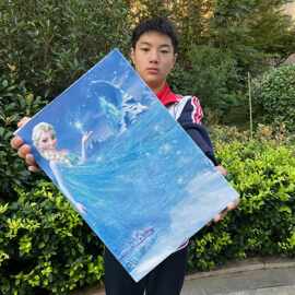大号盒装拼图拼画拼图玩具多款混装益智拼图拼拼乐各机构礼品玩具