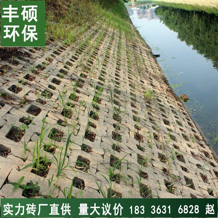 机压水泥混凝土六角空心河道生态六棱护坡砖实心六角砖六边护坡砖