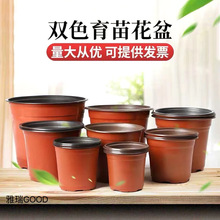 双色育苗花盆软塑花盆草莓多肉培育盆景观花盆加大加厚一次性花盆