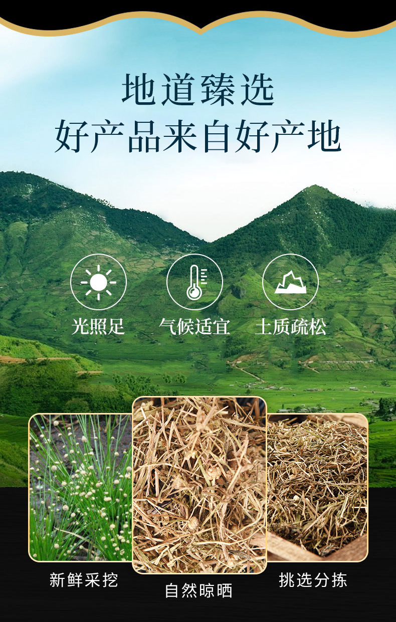 Gu Jing Cao (Eriocaulon buergerianum) — Dried Gu Jing Zhu Herb for Tea & Decoction overview