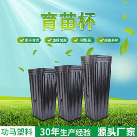营养钵育苗杯脐橙杯柑橘杯细长方形黑色加厚加高塑料种植盆育苗盆