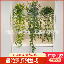 ���R�d������������_�ȼ������l�㶹�v�Ғ����Աڒ�Gֲ�����b�