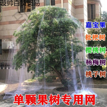 BW¿BּΌ{ݮ@oW˵̨o