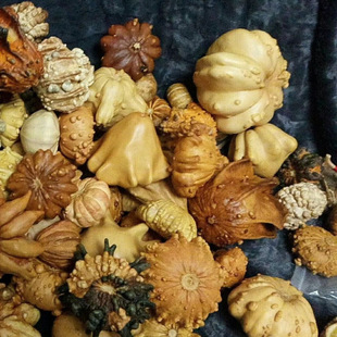 Gourd Seeds, Multi-Winged Melon Seeds, Mexican Gourd Seeds, Colorful Flying Saucer Winged Gourds, Non-Toy Wooden Others