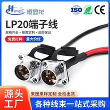 LP20航空插头连接线户外防水光伏机箱连接器铜管地环电源线定 制