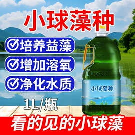 其他水处理;杀菌灭藻剂;营养性添加剂