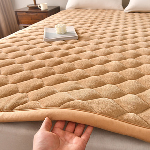 Winter Milk Velvet Mattress Mattress Padded Thickened Warm Flannel Cushion Coral Velvet Dormitory Single Bed Wool Blanket