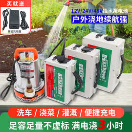 直流潜水泵抽水泵农用12v24V48V锂电池20AH/30AH大容量锂电瓶