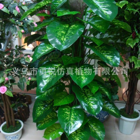 FUENTE Fábrica al por mayor de la planta de simulación árbol 63 Paquete de hojas Goteo marrón Guanyin rábano verde de hoja perenne planta verde árbol falso