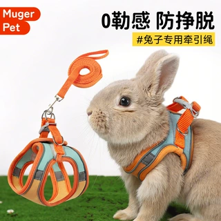 遛兔子专用胸背兔子牵引绳防挣脱可调节侏儒兔小兔子背带批发