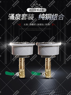 ����ˮ��ӿȪ ���b �~��ˮ��ͥԺȫ�׾��^��Ȫˮ��ӿȪ���^�O��