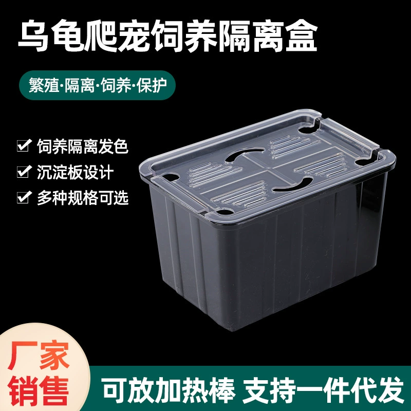 Оптовая продажа цветная коробка для волос черепахи инкубация изолированная коробка для откормочной коробки