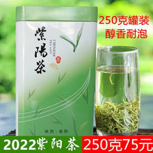 毛尖綠茶 紫陽富硒茶春季毛尖新鮮茶紫陽綠茶罐裝 優質春茶250克