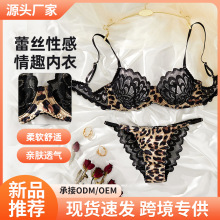 欧美蕾丝性感情趣内衣女小胸聚拢文胸套装纯欲豹纹薄款文胸胸罩女