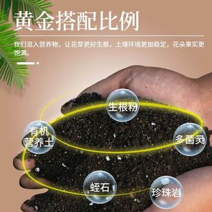 Homemade Flower Soil Nutrient Soil Universal Flower Cultivation Succulent Orchid Special Flower Potted Household Soil Planting