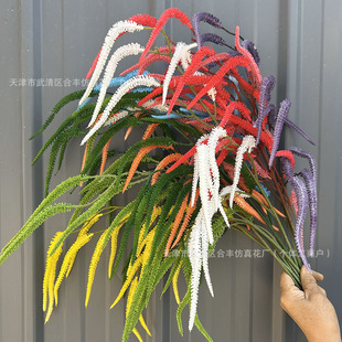 ����ëë�x����ֲ��ٻ��b�Ʒ����ܛ�b����ëë�x�Gֲ�b���