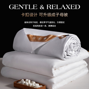 [Silk Filled with Quality Inspection] 2025 New Long-Staple Cotton High-Count Pure Color Silk Quilt Can Be Freely Combined