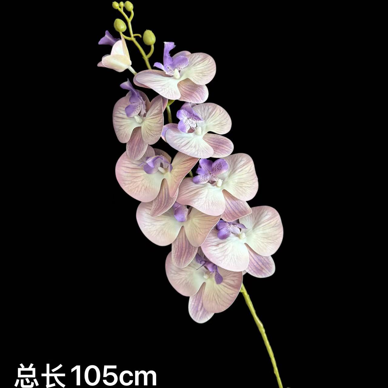 자주색