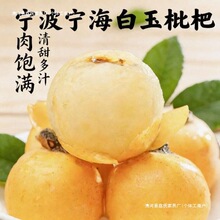 ���ڌ����������r���r�ԼҷNֲ�������ˮ���ˮ���Y���b������