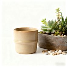 R˱Ƶͷڱoֱˢ豭մɱ logoY