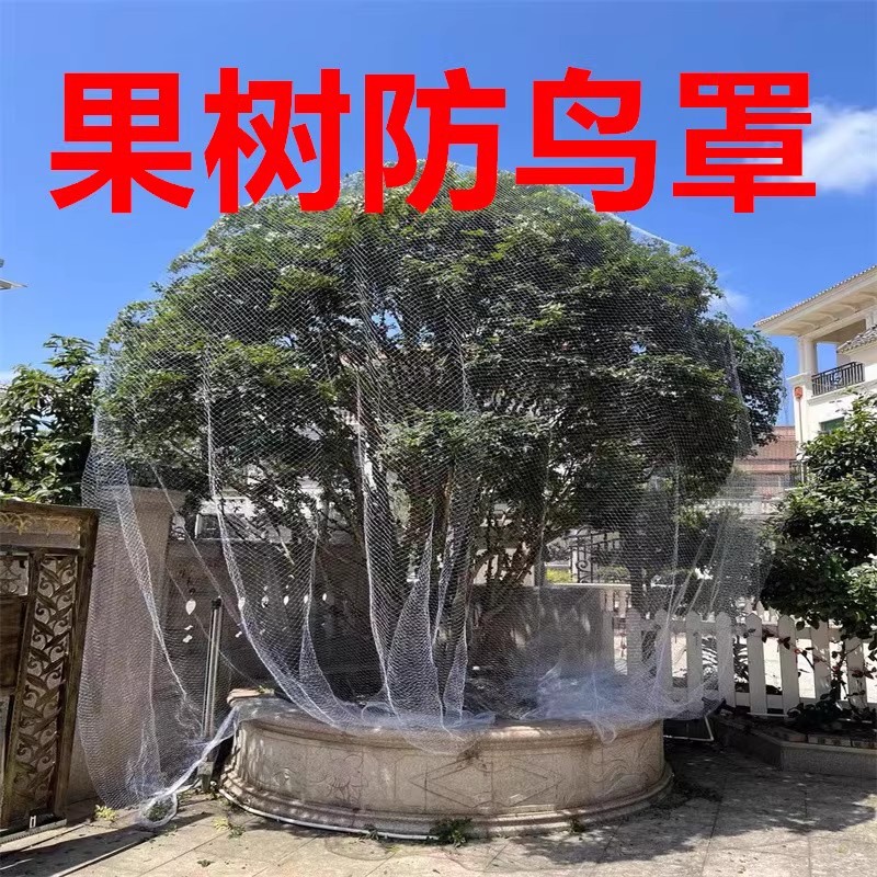 新款果树防鸟罩嘉宝果枇杷樱桃蓝莓果园尼龙防护网菜地保护罩