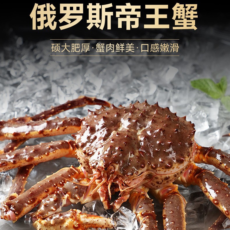 鲜活俄罗斯生冻帝王蟹长脚蟹活皇帝蟹霸王蟹2公斤起批发海鲜水产