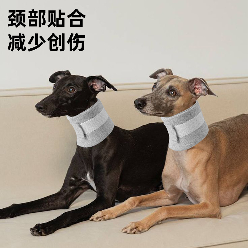 宠物伊丽莎白圈猫狗术后防护罩防舔保护套猫狗美容罩防咬圈项圈|undefined