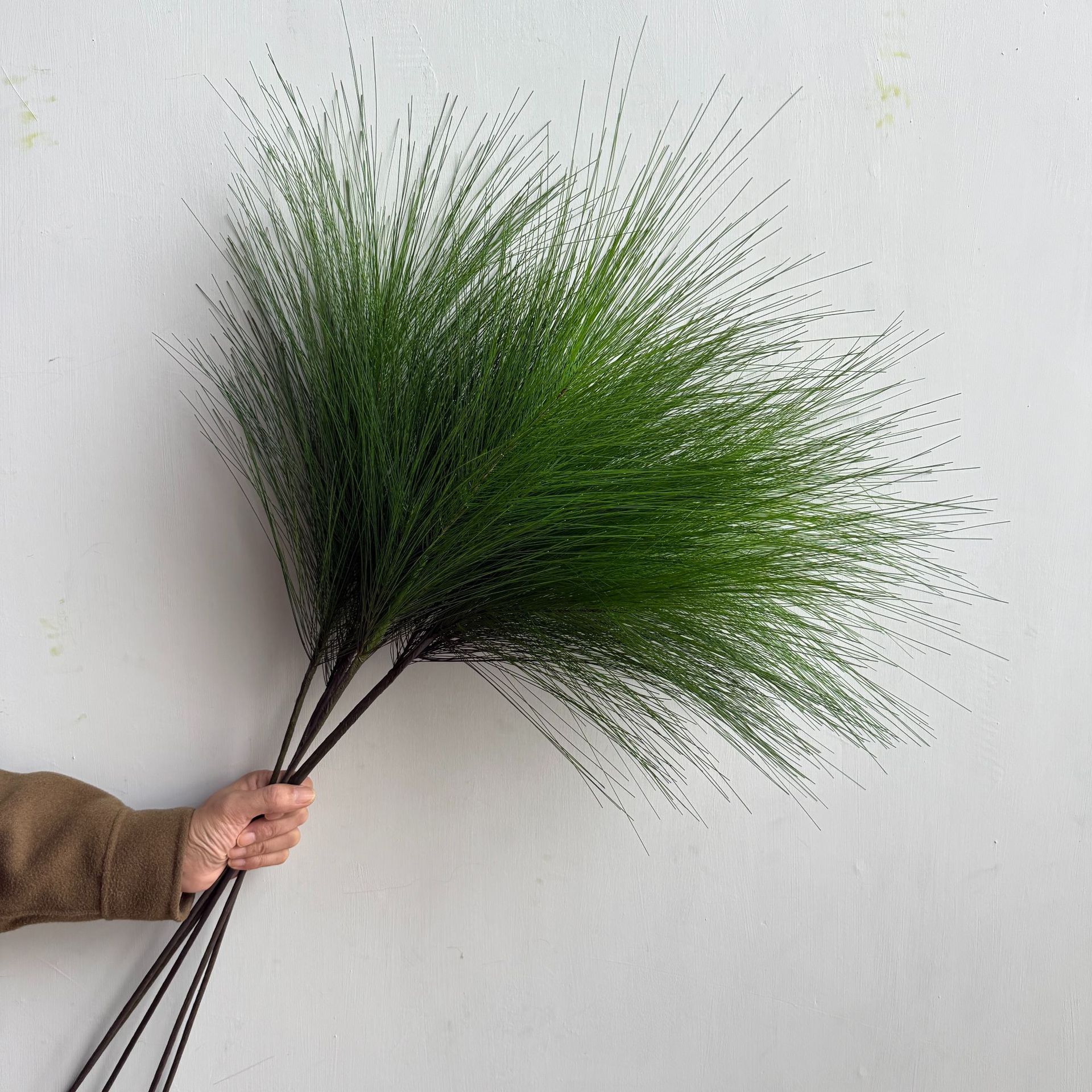 仿真植物马尾松 沙草松针森系绿植造景龙须草 喷泉草植物工厂直销