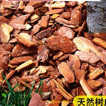 ��Ƥ��渲�w��@���ɘ�Ƥ�b��ЙC�����쾰ͥԺ��ĥ���[���@��Ѩ