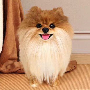 ������Ȯ���w�������NȮС�͌���Ȯ�豭Ȯ���pȮ����Ȯ���̹����l