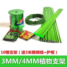 ���X��֧���������m��ֲ��֧�ΗUֲ���Քn���߲˹Ϲ����������F��