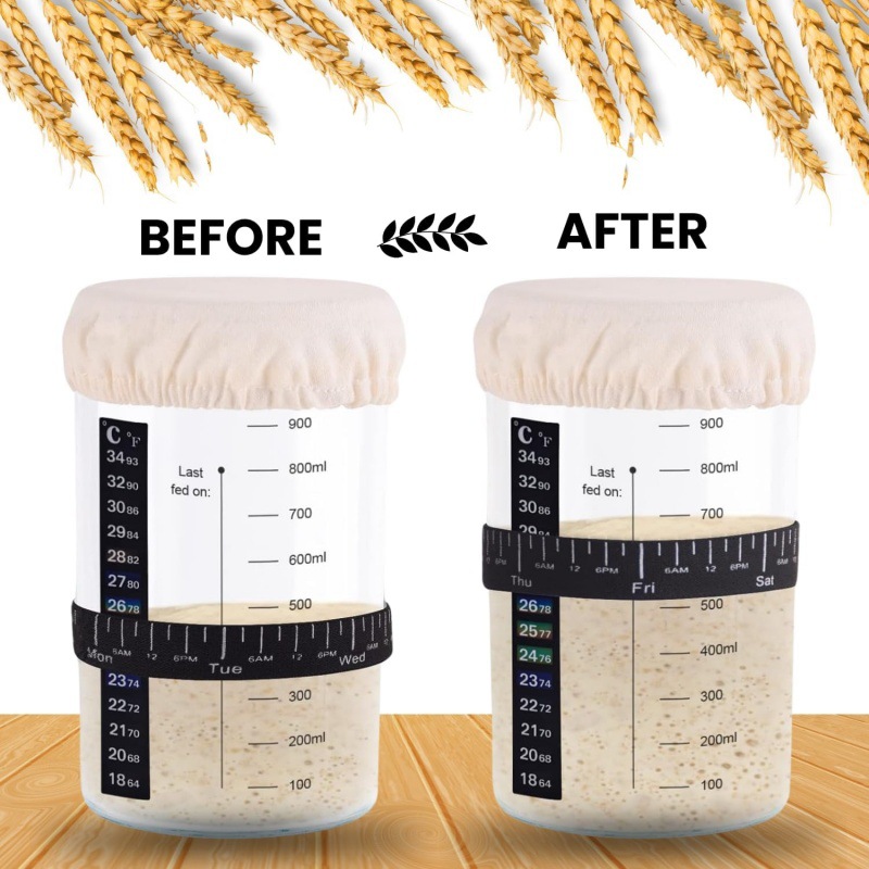 71mPqF8iZoL._AC_SL1500_