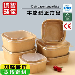使い捨て食品グレードのピクニック弁当箱ランチボックス正方形包装箱フルーツカット包装箱