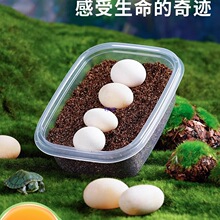 �������ɷ�����������������ī������С�����������һ��ͯ���Y��