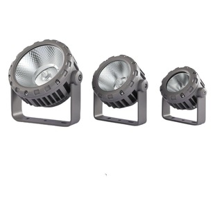 Factory direct 10W20W30W outdoor waterproof LED floodlight round Ferris wheel COB floodlight