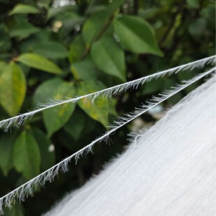 1.3����ë�S�����������Sȫ���������lë��feather yarn��ë��