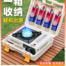 ��ʽ�t�����yʽ2025�¿�¶�IҰ���t��ȫ����˹�tú��ȼ����L��