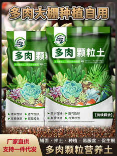 Meat Soil Special Nutrient Soil Meat Granular Soil Plant Planting Soil Paving Stone Leaf Insertion Household Peat Soil Big Bag