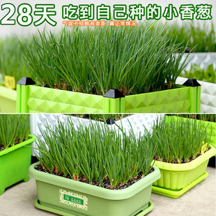 �[�NС���[�N�ӷN�Ѽt�[�^�S�[���r�ļ�ɳ�[�N�������߲��҃��̨