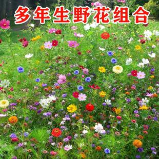 �ļ����N�_��Ұ���M�ϻ��N����ͥԺ���N���Ӵ�ȫ���ܷN��