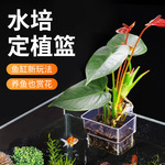 鱼缸透明水培定植篮壁挂式水草种植杯鱼缸绿植造景装饰架鱼缸挂篮