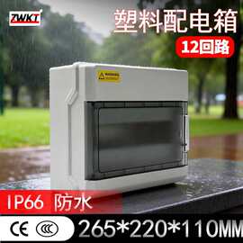 12回路ABS抗冲击材质明装IP65等级265*220*110MM塑料配电箱