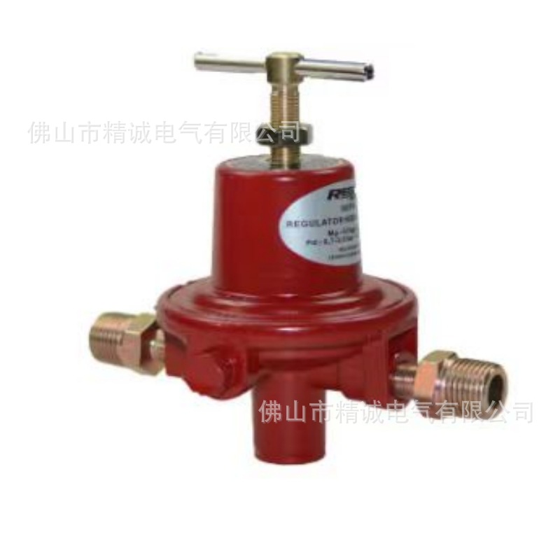 直供力高REGO 减压 调压阀1588VN DN25 等各类型号  现货供应