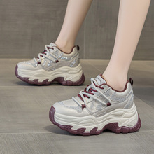 �F؛һ�����l2026�괺���¿���׃������ϵ�Ь���e�\��Ьˮ�