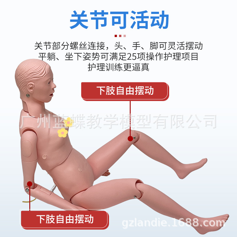 ���廤����ѵ ��Ů����ҽѧ ��ʿ������ѵ ��ɩ����֪ʶ����ģ��