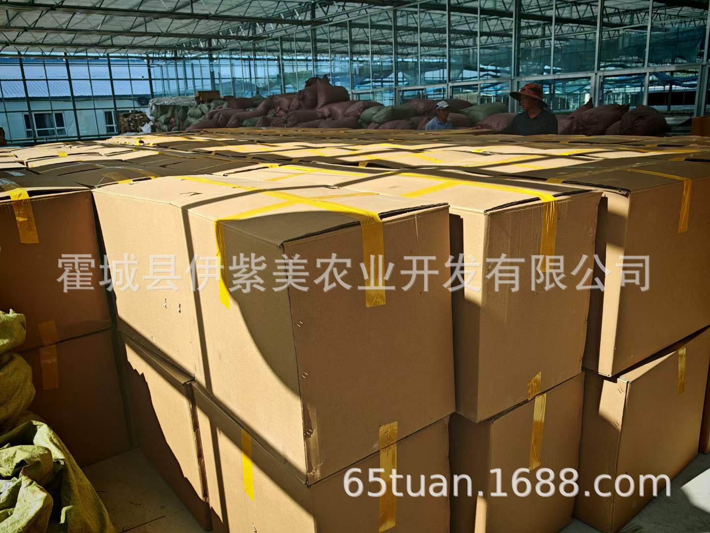 微信图片_20240711191103